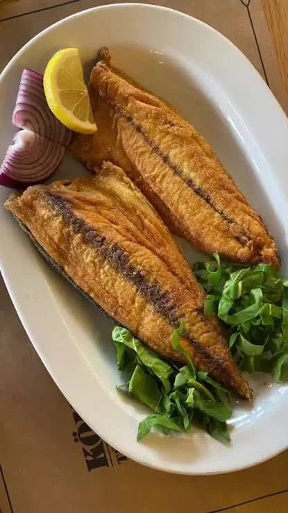 Yağda palamut